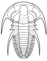 Megapharanaspis