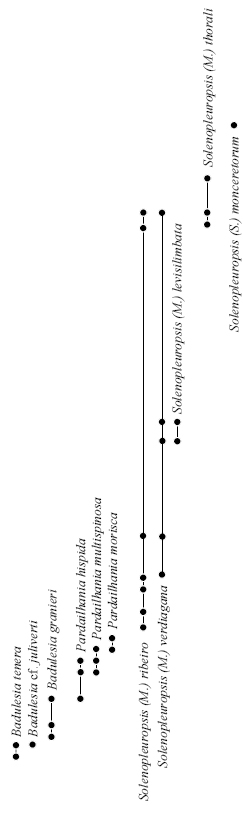 biozones