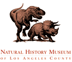 http://www.nhm.org/graphics/nhm_logo.gif