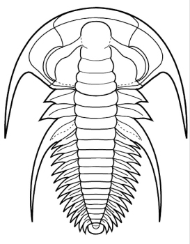 Megapharanaspis