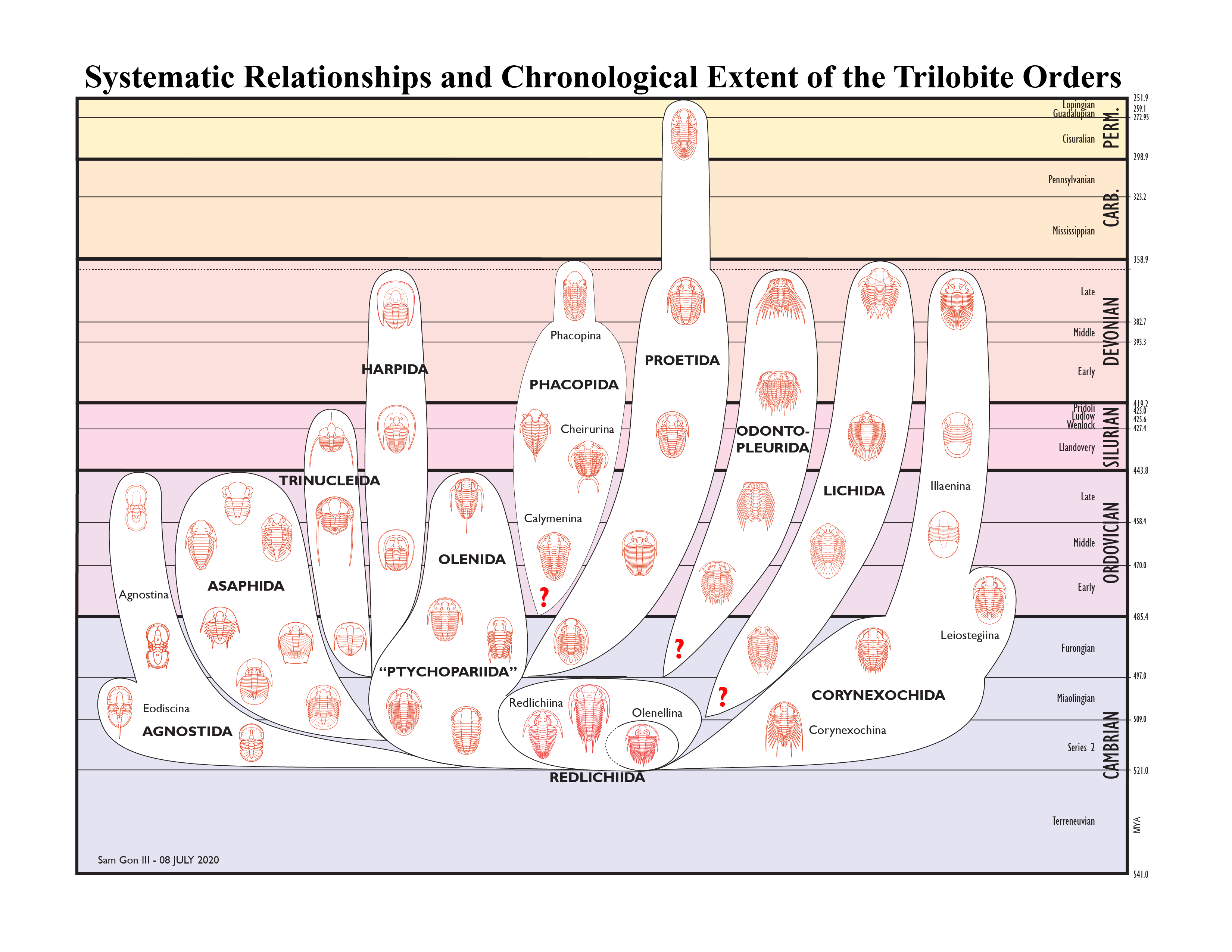 Systematic Relationships and Chronological Extent of the Trilobite Orders